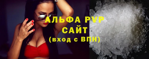 крисы Баксан