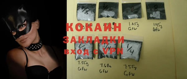 крисы Баксан