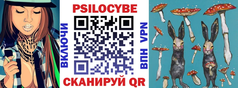 Псилоцибиновые грибы мицелий Мыски